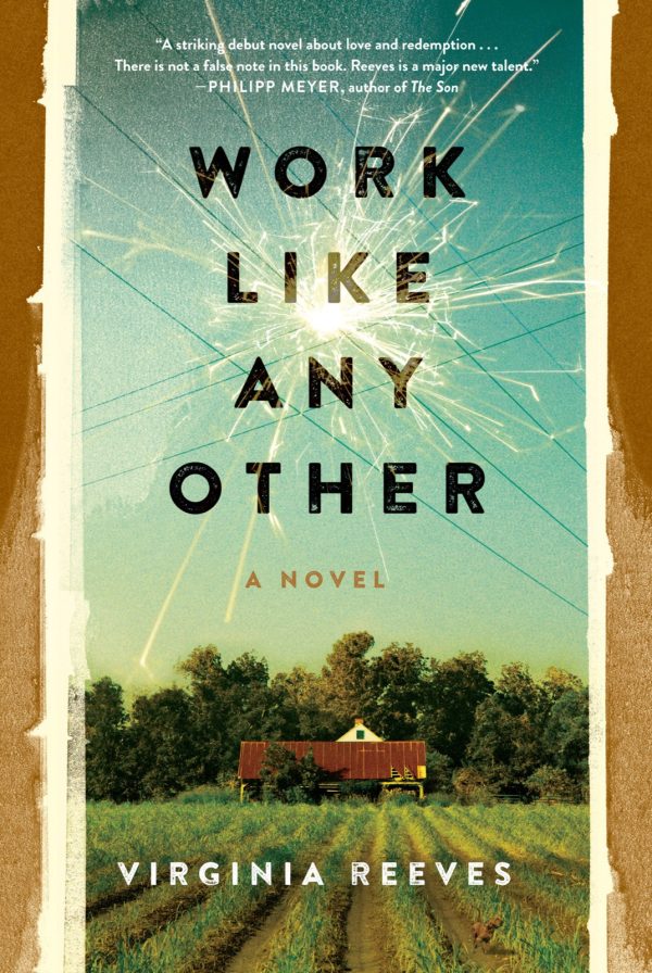 Обложка книги «Work Like Any Other»