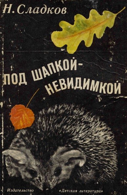 Обложка книги «Под шапкой-невидимкой»