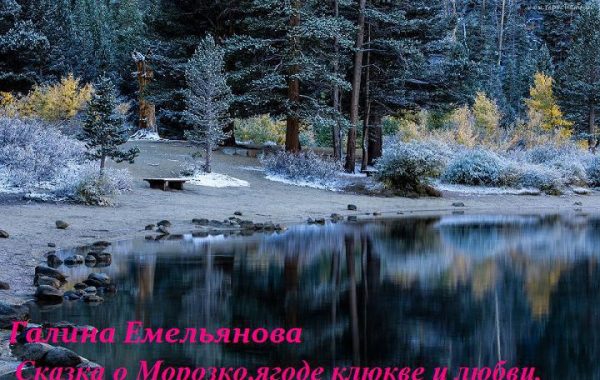 Обложка книги «Сказка о Морозко, ягоде клюкве и любви (СИ)»