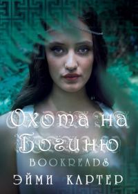 Обложка книги «Охота на богиню»