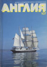 Обложка книги «Что же это было?»