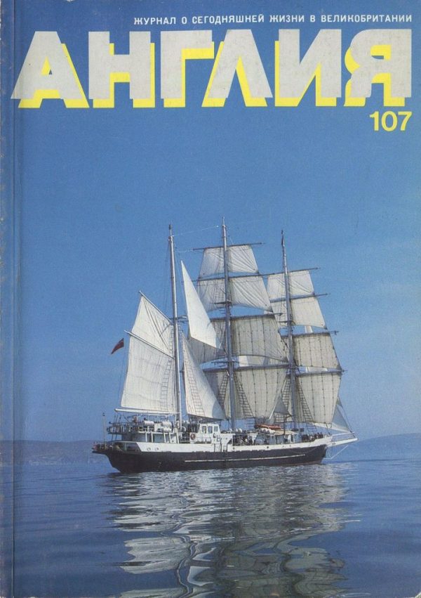 Обложка книги «Что же это было?»