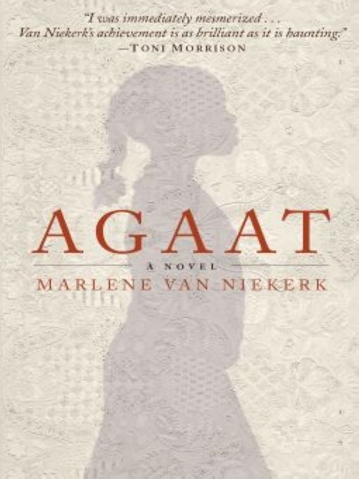 Обложка книги «Agaat»