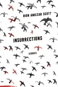 Обложка книги «Insurrections»