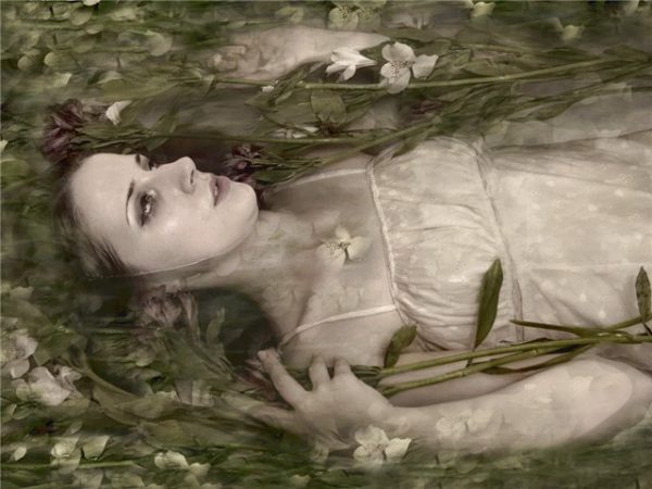 Обложка книги «Импровизация»