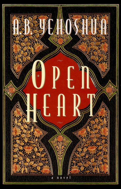 Обложка книги «Open Heart»