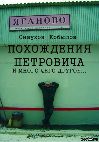 Обложка книги «Похождения Петровича и много чего другое…»