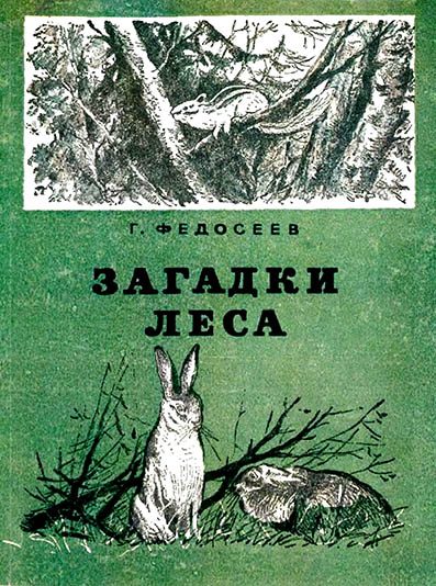 Обложка книги «Загадки леса»