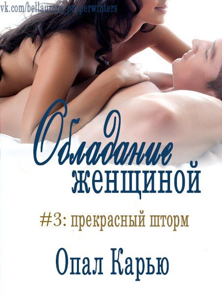 Обложка книги «Прекрасный Шторм»
