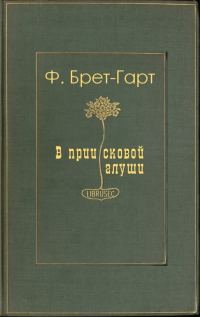 Обложка книги «В приисковой глуши»