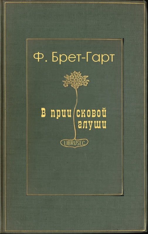 Обложка книги «В приисковой глуши»