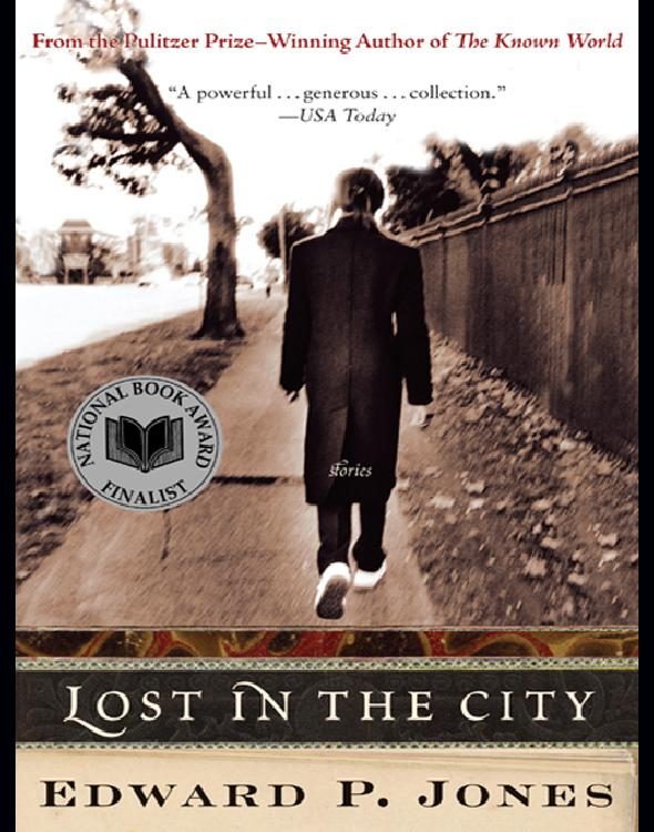 Обложка книги «Lost in the City»