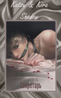 Обложка книги «Секретарь»