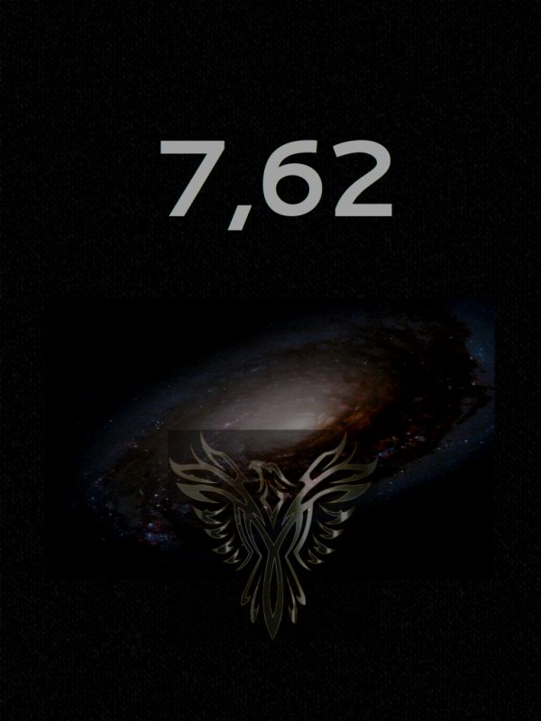 Обложка книги «7,62»