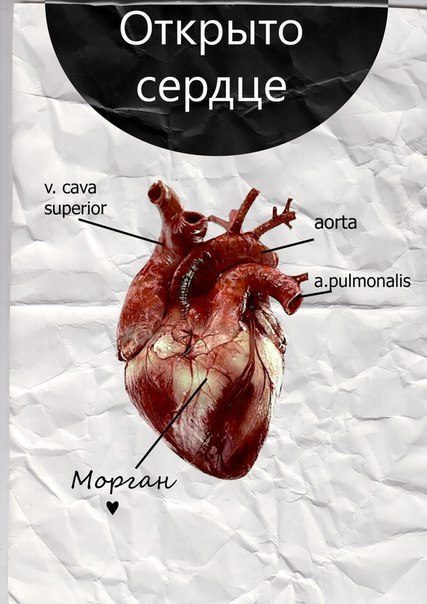 Обложка книги «Открыто сердце (СИ)»