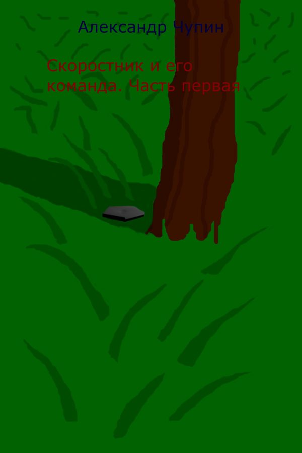 Обложка книги «Скоростник и его команда. Часть первая»