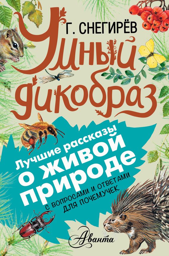 Обложка книги «Умный дикобраз»