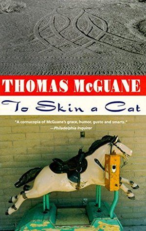Обложка книги «To Skin a Cat»