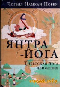 Обложка книги «Введение в янтра-йогу»