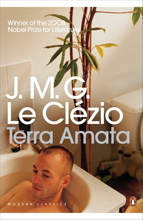 Обложка книги «Terra Amata»