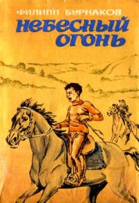 Обложка книги «Небесный огонь»