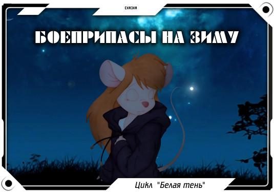 Обложка книги «Боеприпасы на зиму»