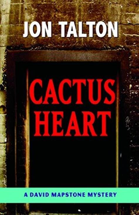 Обложка книги «Cactus Heart»
