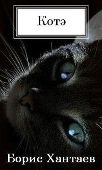 Обложка книги «КОТэ»