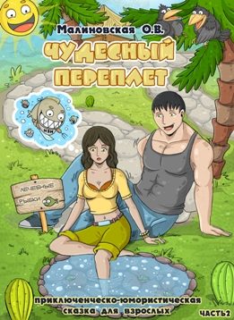 Обложка книги «Чудесный переплет. Часть 2»