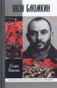 Обложка книги «Яков Блюмкин: Ошибка резидента»