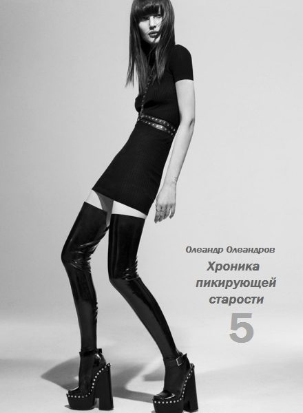 Обложка книги «Хроника пикирующей старости – 5»