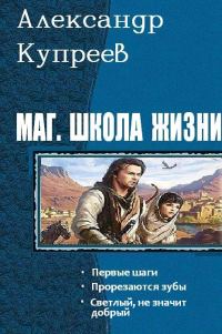 Обложка книги «Маг. Школа жизни»