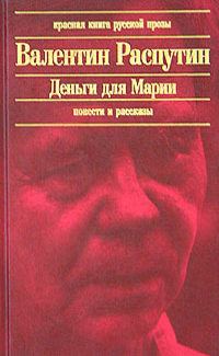 Обложка книги «В непогоду»