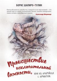 Обложка книги «Происшествие исключительной важности, или Из Бобруйска с приветом»