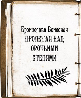 Обложка книги «Пролетая над орочьими степями»