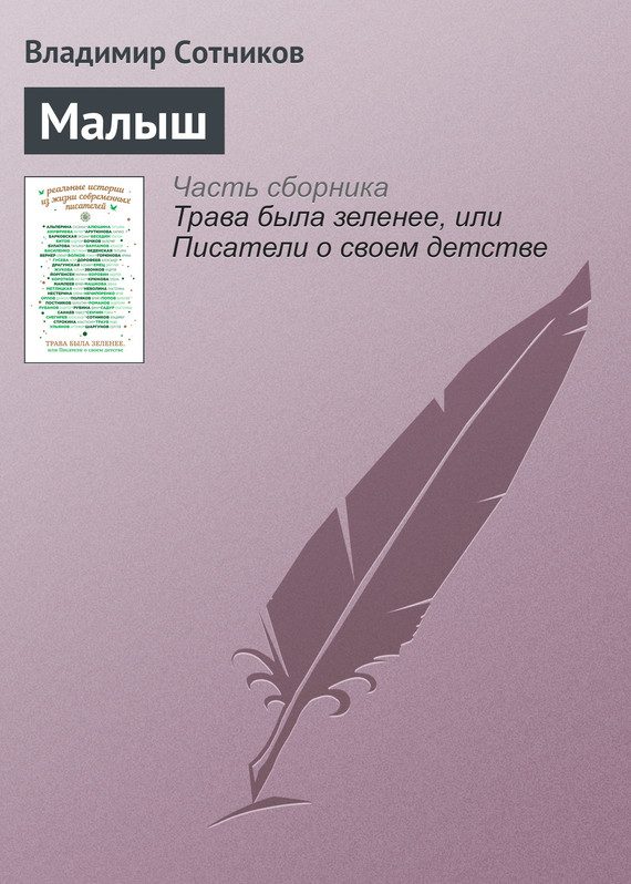 Обложка книги «Малыш»