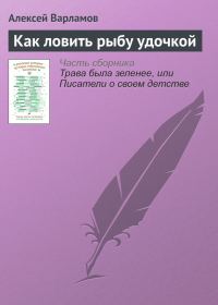 Обложка книги «Как ловить рыбу удочкой»