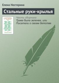 Обложка книги «Стальные руки-крылья»