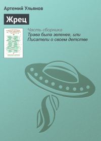 Обложка книги «Жрец»
