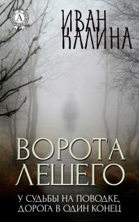 Обложка книги «Ворота Лешего»