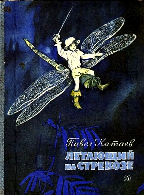 Обложка книги «Летающий на стрекозе»
