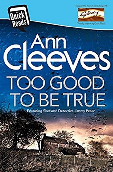Обложка книги «Too Good to Be True»