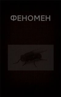 Обложка книги «Феномен»