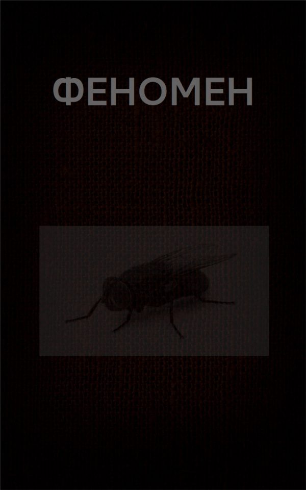 Обложка книги «Феномен»