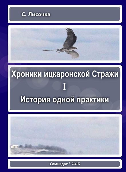 Обложка книги «Хроники ицкаронской Стражи. История одной практики»