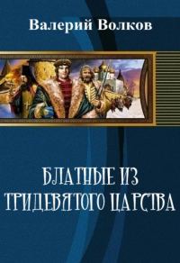 Обложка книги «Блатные из тридевятого царства (СИ)»