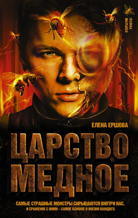 Обложка книги «Царство медное»