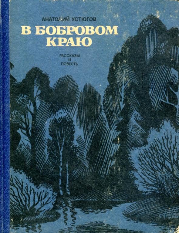 Обложка книги «В бобровом краю»