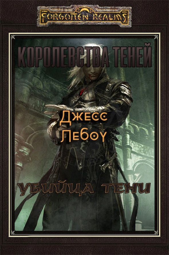 Обложка книги «Убийца Тени»