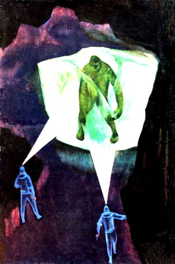 Обложка книги «В недрах планеты»